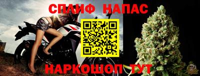 ALPHA PVP Гатчина