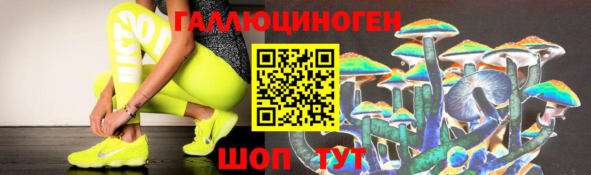 Галлюциногенные грибы MAGIC MUSHROOMS  Галлюциногенные грибы GOLDEN TEACHER  Можайск  Вход с VPN 